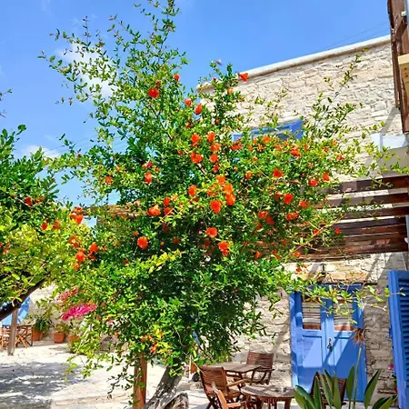 Athena's Pool Oasis
